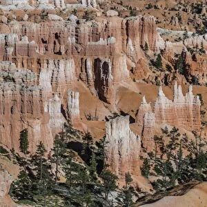 Hoodoo rock formations in Bryce Canyon Amphitheater, Bryce Canyon National Park, Utah, United States of America, North America