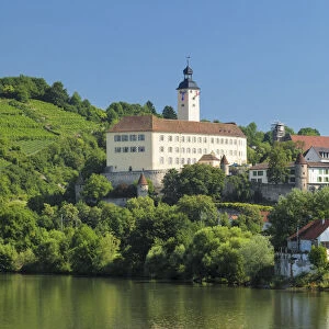 Horneck Castle, Gundelsheim am Neckar, Neckartal Valley, Baden-Wurttemberg, Germany