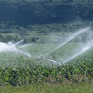 Irrigation system, British Columbia, Canada, North America