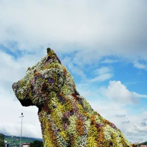 Spain Collection: Bilbao