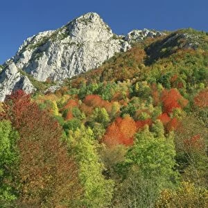 Landscape with woodland of trees in autumn colours and rocky peak beyond