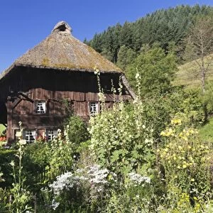 Landwasserhof Mill, farmhouse garden, Elzach, Black Forest, Baden-Wurttemberg, Germany