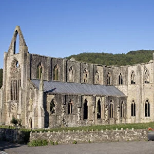 Late afternoon view of South and West sides of Tintern Abbey, Monmouthshire, Wales