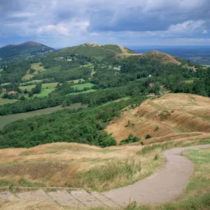 England Collection: Hereford