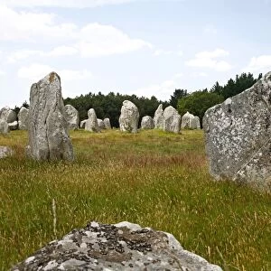 Megalithic stones alignments de Kremario, Carnac, Morbihan, Brittany, France, Europe
