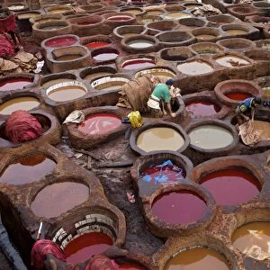 Men at work in the Tanneries, Medina, Fez, Morocco, North Africa, Africa