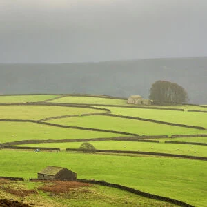 Yorkshire Fine Art Print Collection: High Green