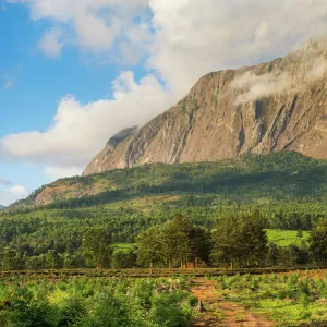 Mount Mulanje at sunset, Malawi, Africa