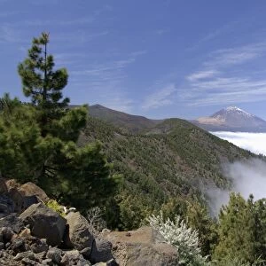 Mount Teide (Pico de Teide), Tenerife, Canary Islands, Spain