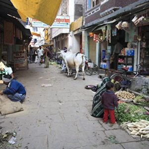 Narrow lane in the Old City, Varanasi, Uttar Pradesh, India