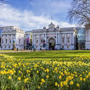 National Maritime Museum on a spring day with blue skies and daffodils, Greenwich, London, England, United Kingdom, Europe