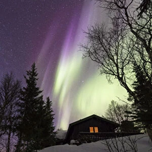 Northern Lights (Aurora borealis) over wood hut, Grovfjord, Troms county, Lofoten Islands