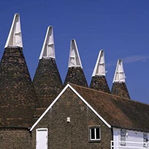 Oast houses, Whitbread Hop Farm, Beltring, Kent, England, United Kingdom, Europe