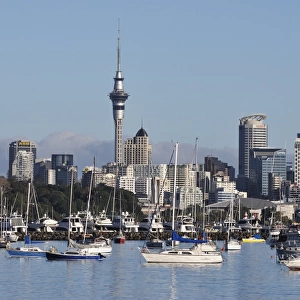 Okahu Bay and skyline, Auckland, North Island, New Zealand, Pacific
