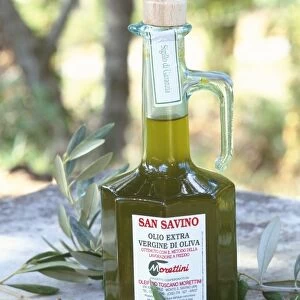 Olive oil, Tuscany