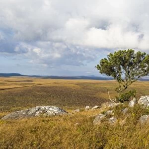 Overlook over the highlands of the Nyika National Park, Malawi, Africa