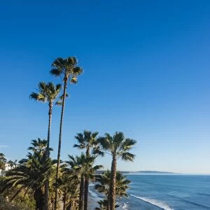 Palm trees above the cliffs in Cardiff, California, United States of America, North