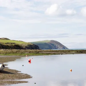 Pembrokeshire Greetings Card Collection: Newport