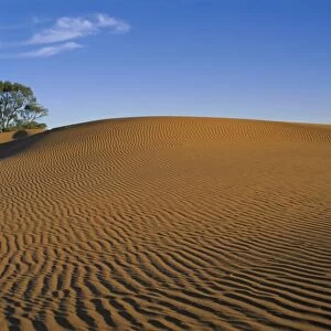 Perry Sandhills near Wentworth, New South Wales, Australia