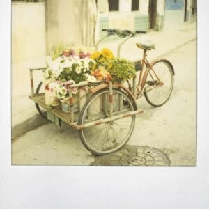 Polaroid of tricycle loaded with flowers for sale, Havana, Cuba, West Indies