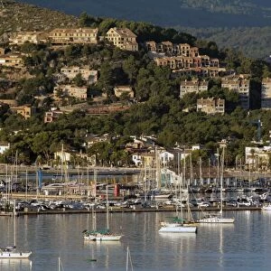 Port de Pollenca, Mallorca, Balearic Islands, Spain, Mediterranean, Europe
