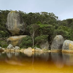 River, Tidal River, Wilsons Promontory, Victoria, Australia