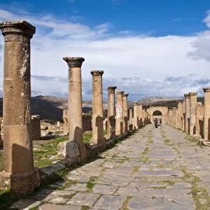 The Roman ruins of Djemila, UNESCO World Heritage Site, Algeria, North Africa, Africa