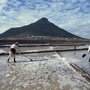 Salt pans, Mauritius, Indian Ocean, Africa