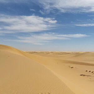 Sand dune in the Tenere Desert, Sahara, Niger, Africa