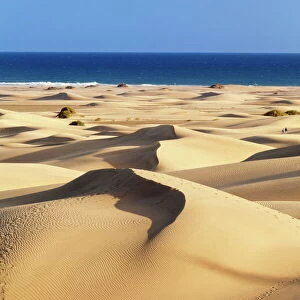 Sand dunes of Maspalomas, Maspalomas, Gran Canaria, Canary Islands, Spain, Atlantic, Europe