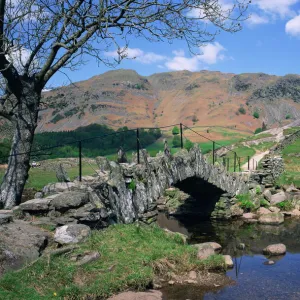 England Collection: Lakes