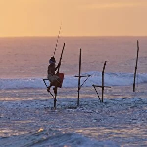 Stilt fisherman at Weligama, South Coast, Sri Lanka, Asia