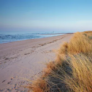 Norfolk Collection: Holkham