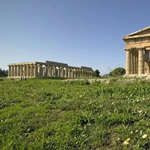 Temple of Hera (Basilica) left
