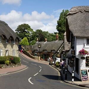 Isle of Wight Jigsaw Puzzle Collection: Shanklin