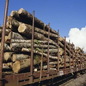Timber logs at rail siding, Finland, Scandinavia, Europe
