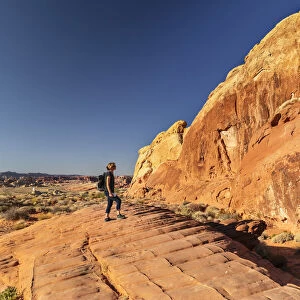 Tourist in Valley of Fire State Park, Nevada, United States of America, North America