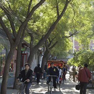 A tree lined avenue in a local neighbourhood, Hutong area of Beijing, China, Asia