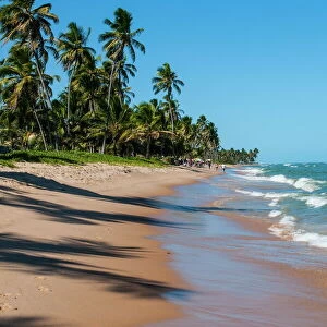 Tropical beach in Praia do Forte, Bahia, Brazil, South America