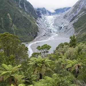 View to the Fox Glacier from the Chalet Lookout Track, Fox Glacier, Westland Tai