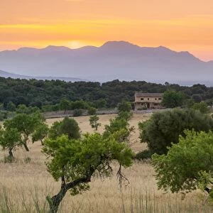 View of landscape with olive trees and mountains at dusk with farmhouse in landscape