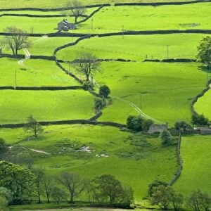 View across the Yorkshire Dales near Reeth in Swaledale, Yorkshire, England