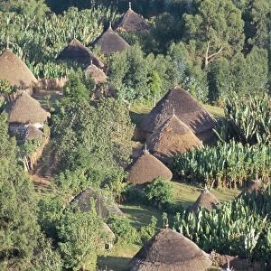 Village in the land of the Gourague, Hosana region, Shoa province, Ethiopia, Africa