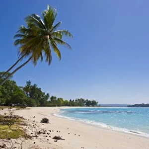 Vanuatu Related Images