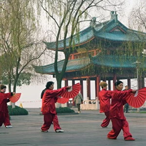 China Heritage Sites Jigsaw Puzzle Collection: West Lake Cultural Landscape of Hangzhou