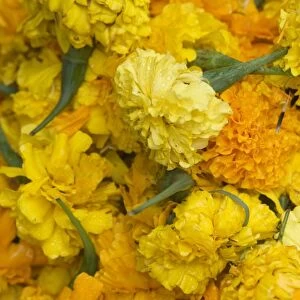 Yellow carnations for sale for temple offerings in Little India