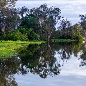 Yellow Water billabong and wetland, Kakadu National Park, UNESCO World Heritage Site