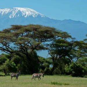 Africa Metal Print Collection: Tanzania