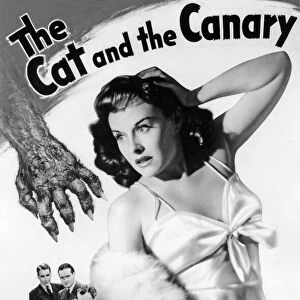 Film and Movie Posters: The Cat and the Canary