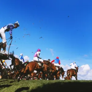 Fallers at Beechers Brook, 1989